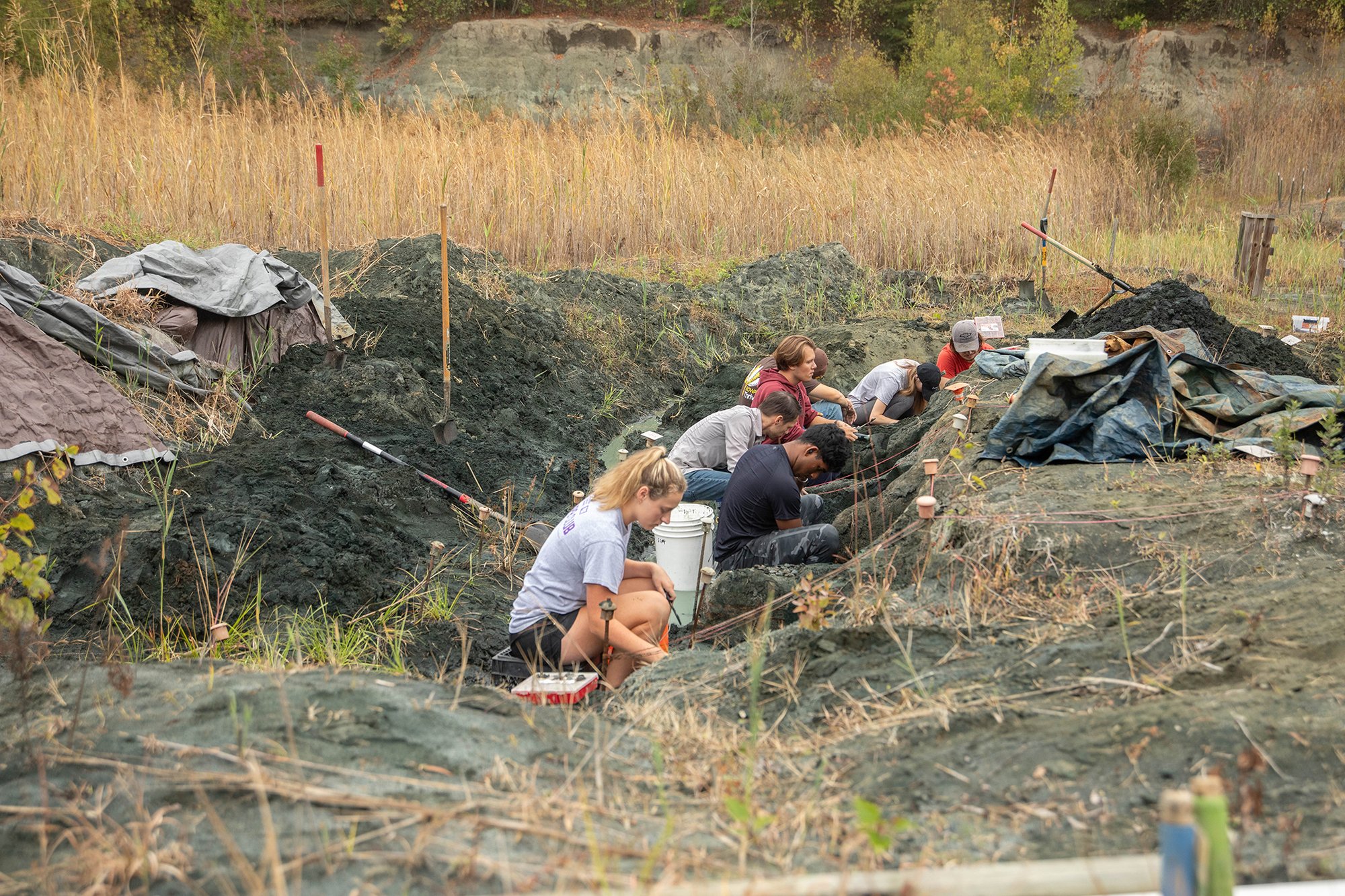 Fossil Park Experience